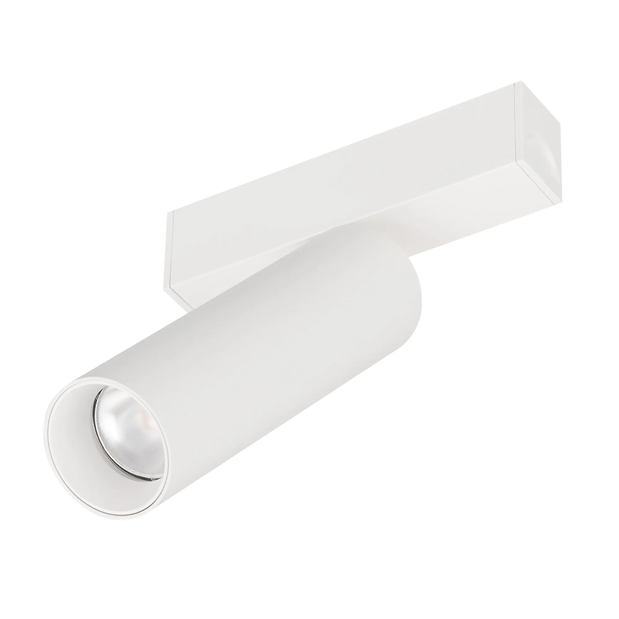 Светильник MAG-SPOT-25-R120-12W Day4000 (WH, 30 deg, 24V) (Arlight, IP20 Металл, 3 года) - Изображение
